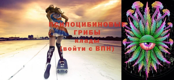 круглые Карпинск