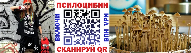 Псилоцибиновые грибы мицелий  Купить  Белая Холуница 